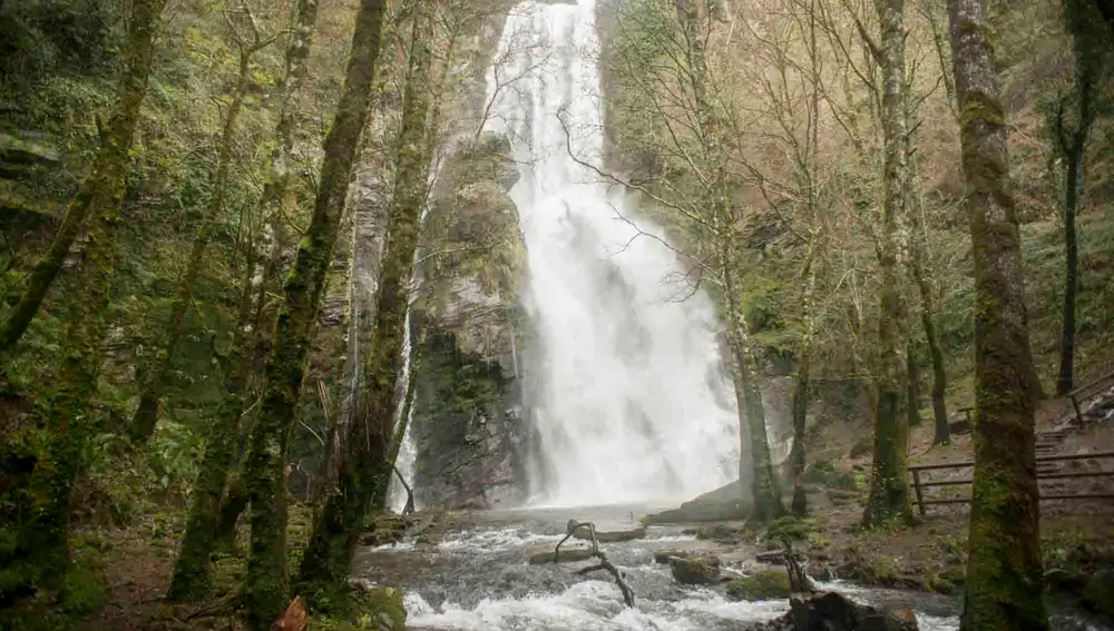 Seimeira de Vilagocende