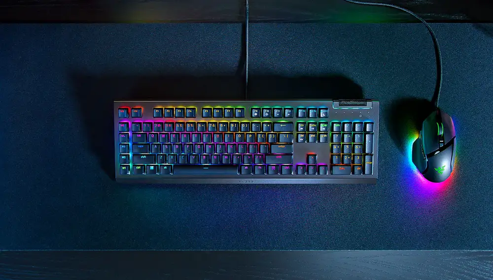 Teclado Razer Blackwidow V4 X