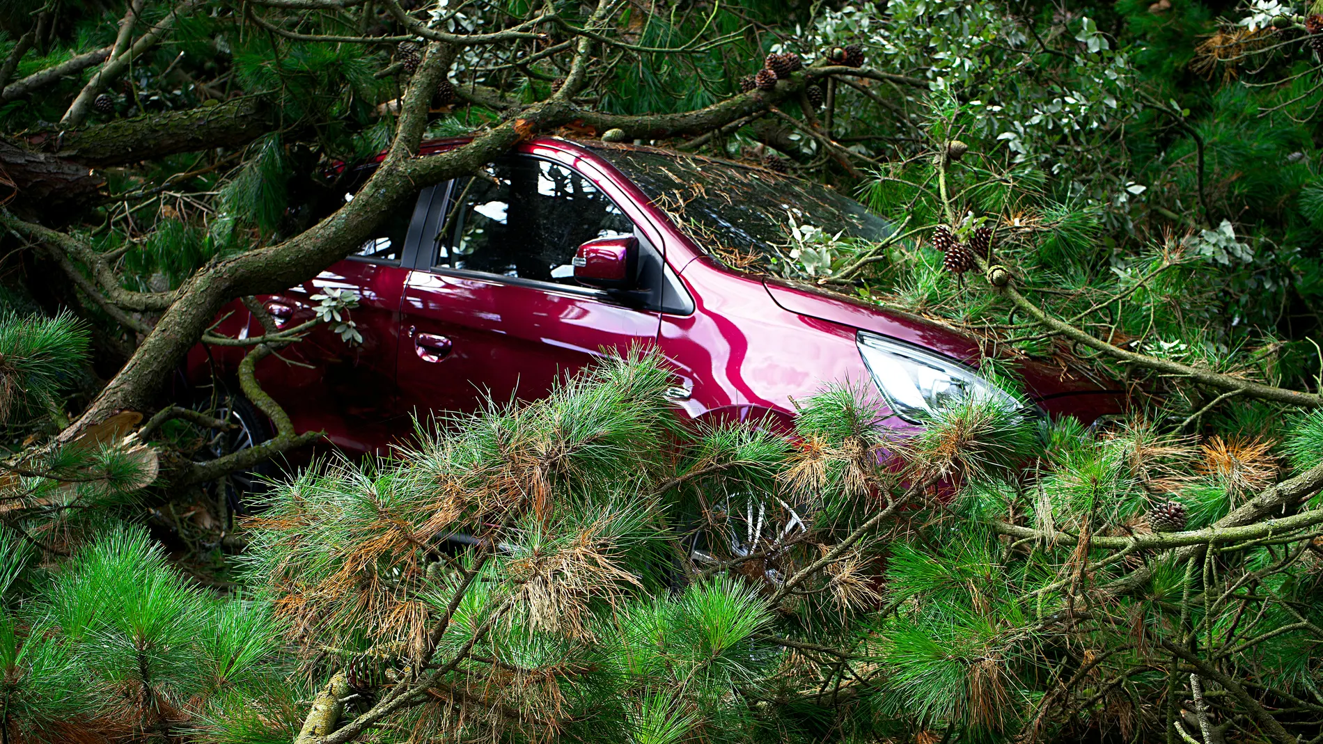 Coche accidentado en una cuneta
