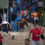 Un hombre en coma por cogida de toro en Valencia