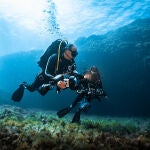 Investigadores de la Fundación Oceanogràfic descubren una nueva especie de molusco en el Mediterráneo