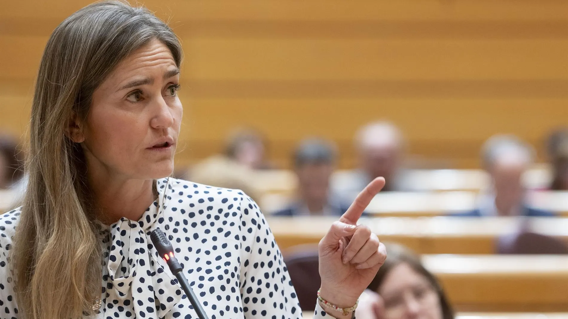Aagesen replica al PP que la Junta de Andalucía avaló excluir 25 millones para Siles (Jaén) del plan del Guadalquivir