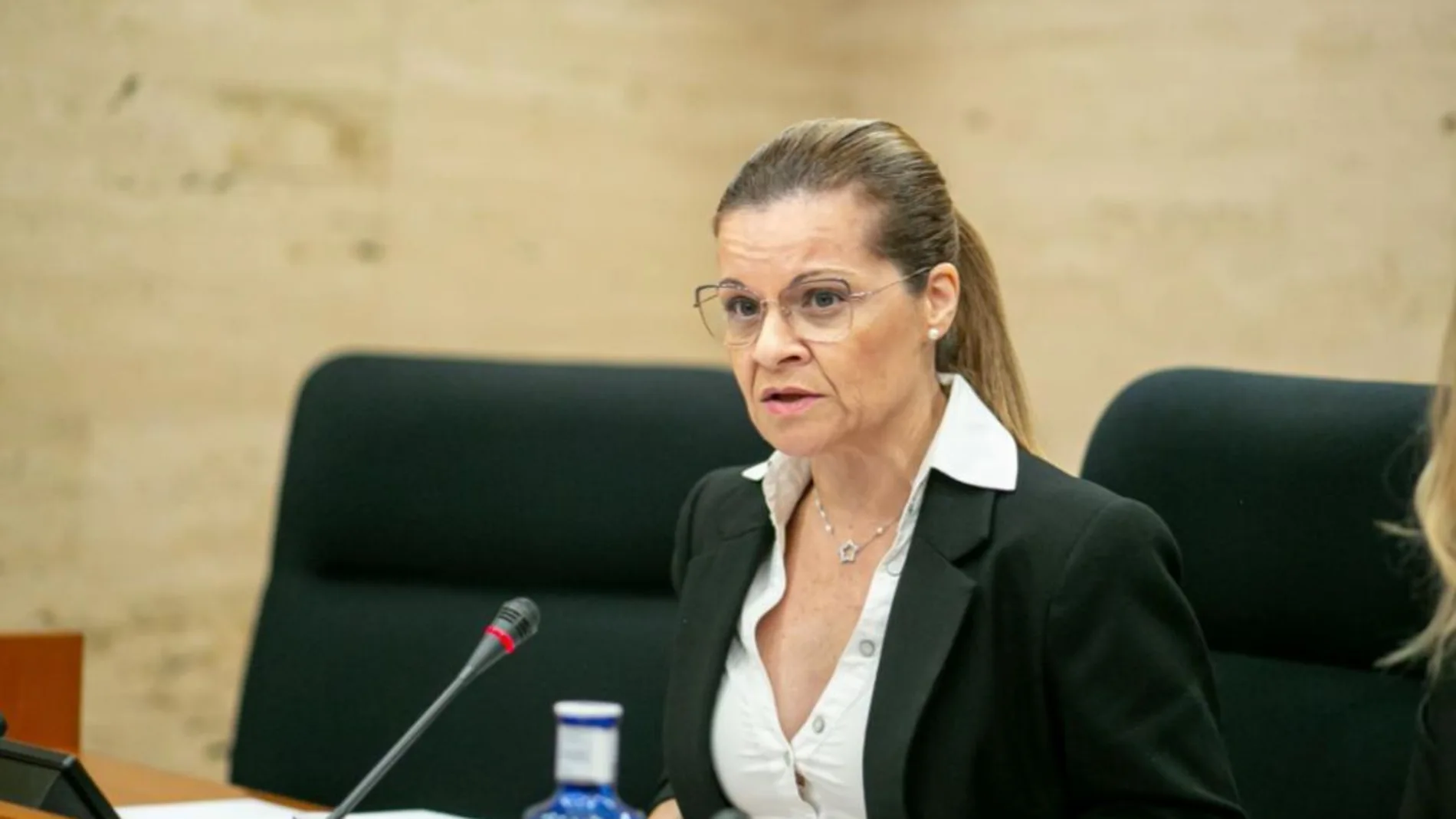 La directora del Instituto de la Mujer, Lourdes Luna