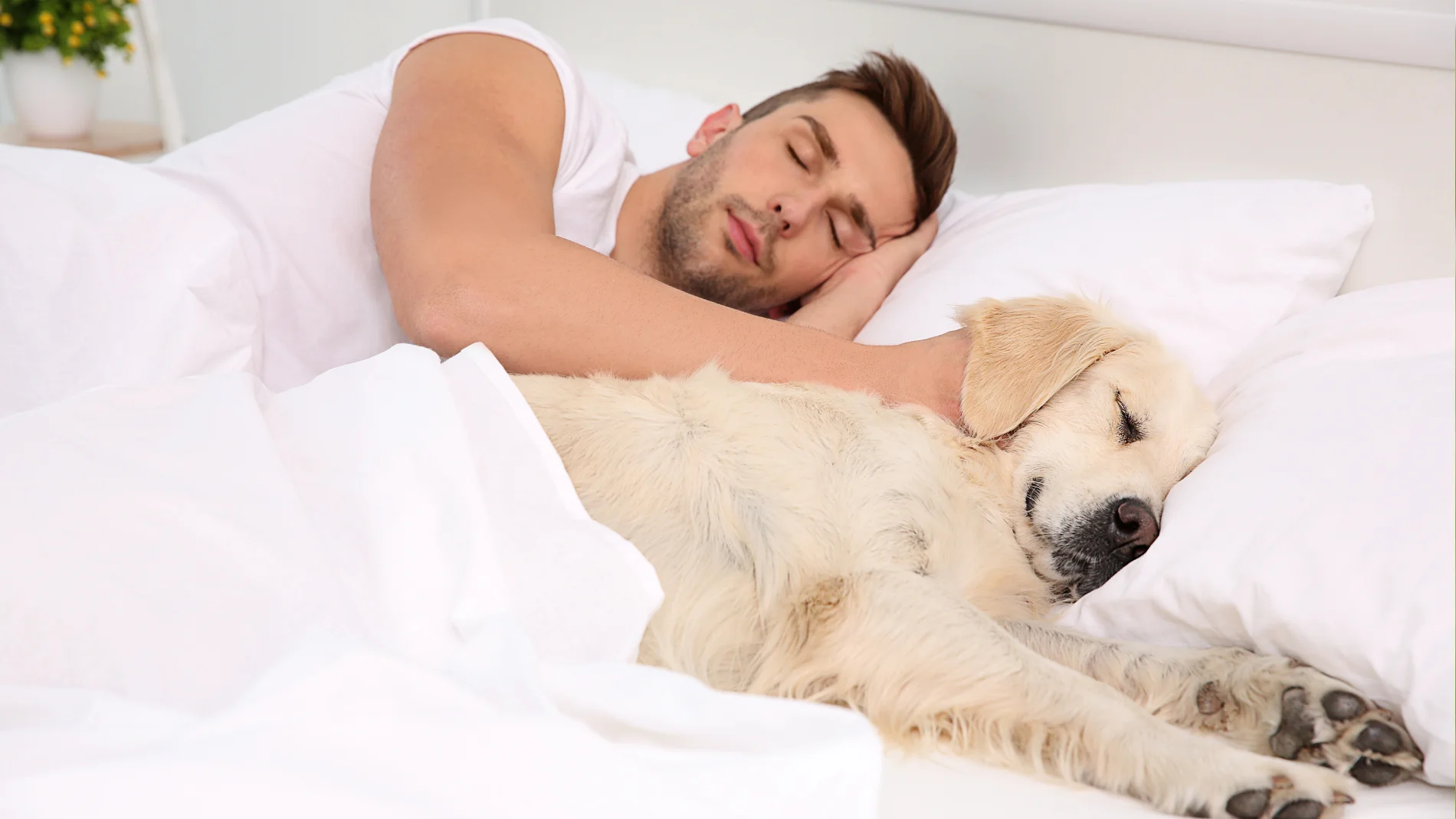 Las personas que duermen en la misma cama que sus mascotas presentan rasgos característicos según la psicología