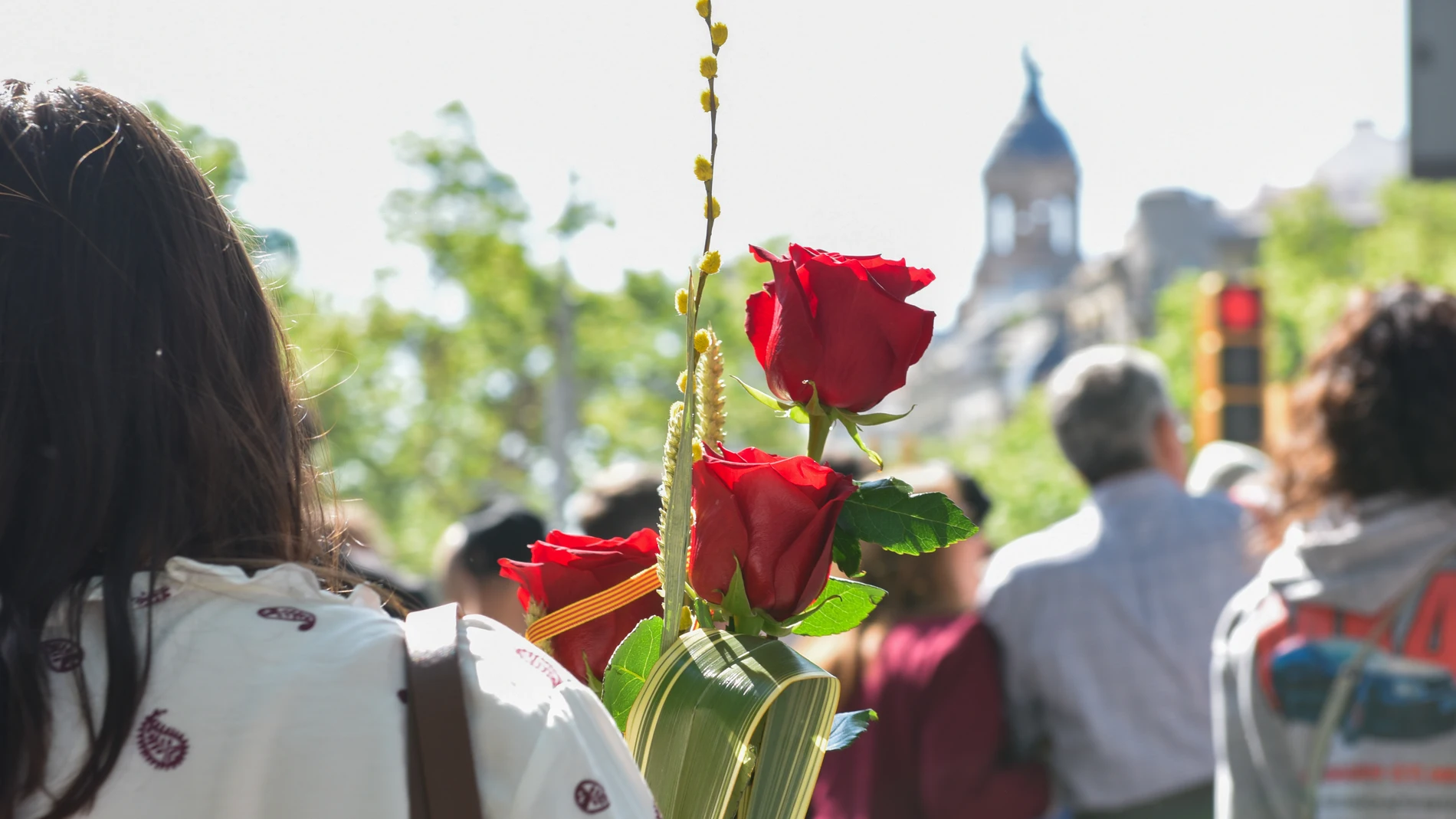 Una persona lleva una rosa durante la Diada de Sant Jordi 2025, a 23 de abril de 2025, en Barcelona, Cataluña (España). Barcelona vuelve a vivir una nueva Diada de Sant Jordi, en la que se llena de libros y rosas, en una edición en la que crece el número de paradas profesionales de libros y superficie para buscar una mayor comodidad, hasta los 3.500 metros cuadrados en diez espacios de siete distritos de la ciudad. Este año, hay más paradas que el año anterior en las zonas profesionales, con ...