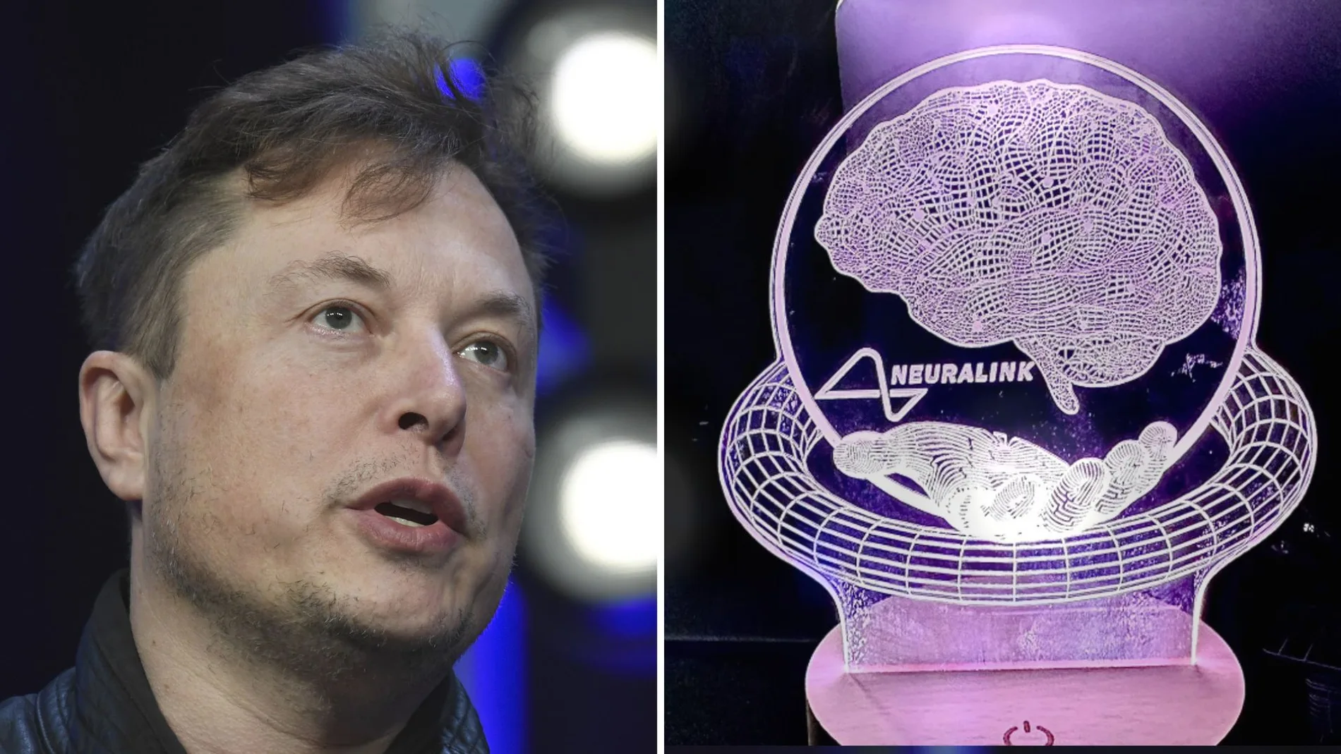 Así es "Telepathy": el chip que Elon Musk planea implantar a 30 personas en 2025 tras su primer éxito en humanos