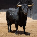 "Bullidor", nº 38