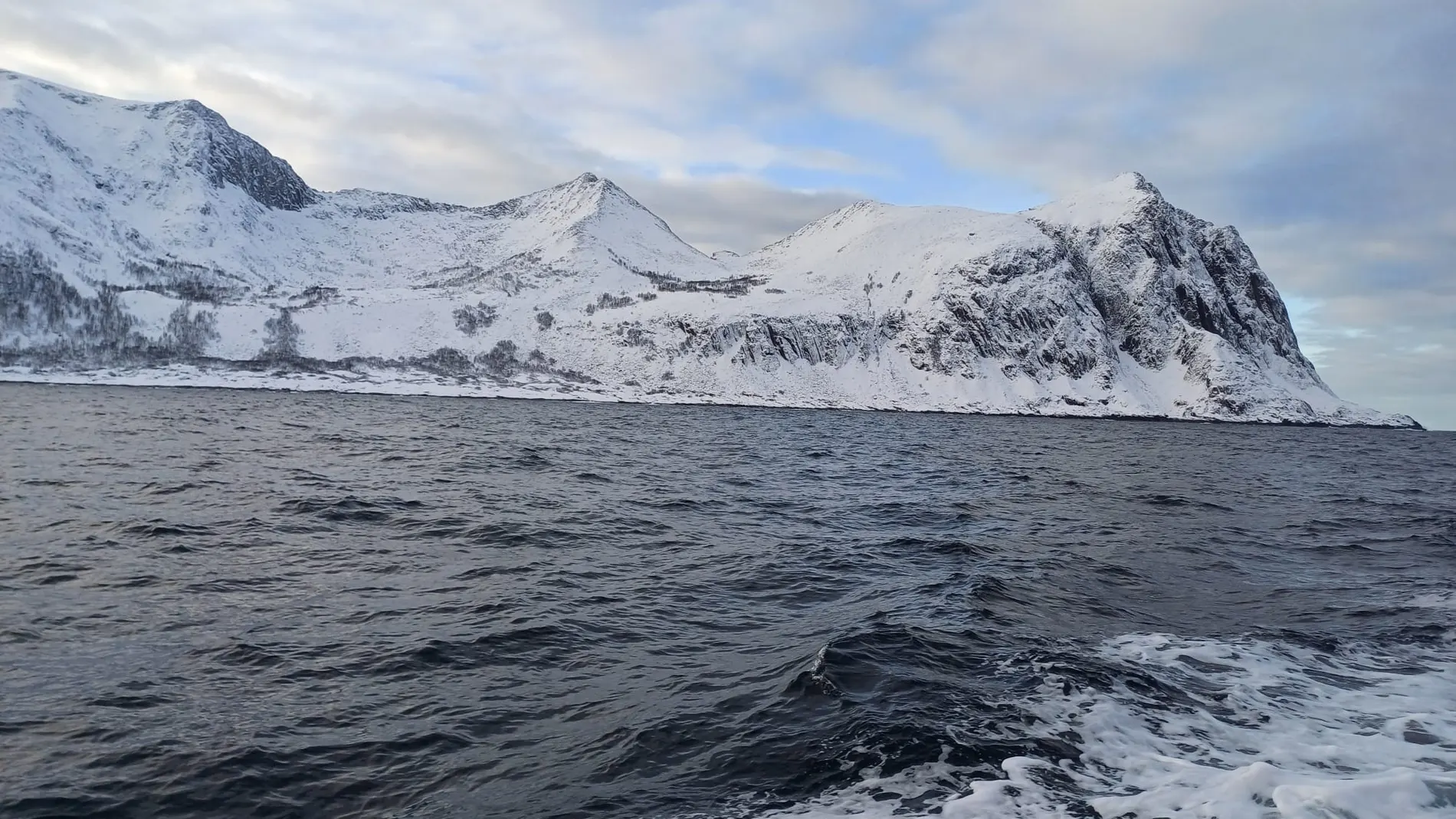 Imponente vista del Ártico con las montañas nevadas al fondo