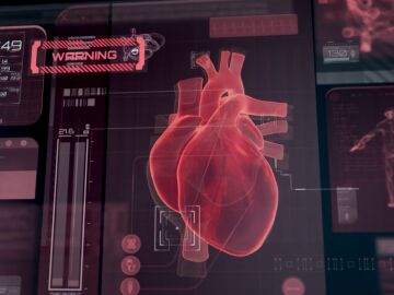 Un mapa del coraz&oacute;n en diez minutos: desarrollan un chaleco que mejora la detecci&oacute;n de arritmias