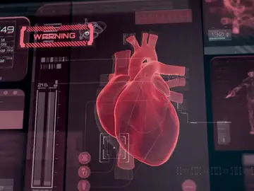 Un mapa del corazón en diez minutos: desarrollan un chaleco que mejora la detección de arritmias Un mapa del corazón en diez minutos: desarrollan un chaleco que mejora la detección de arritmias