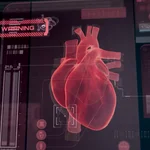 Un mapa del corazón en diez minutos: desarrollan un chaleco que mejora la detección de arritmias