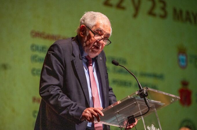 El Senado planea instar al Tribunal Constitucional a llevar la amnistía a la UE