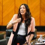 La consejera de Inclusión Social, Juventud, Familias e Igualdad, Loles López, en el Pleno del Parlamento.