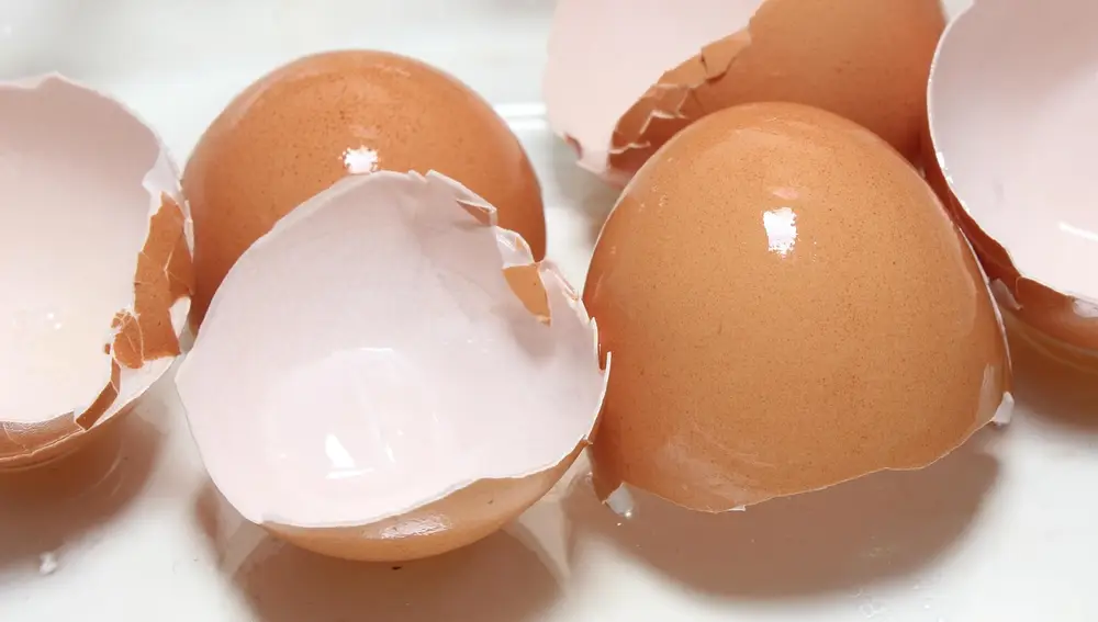 El sorprendente truco casero con cáscaras de huevo y detergente que arrasa en los hogares