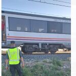 Un agente de la Guardia Civil, junto al tren