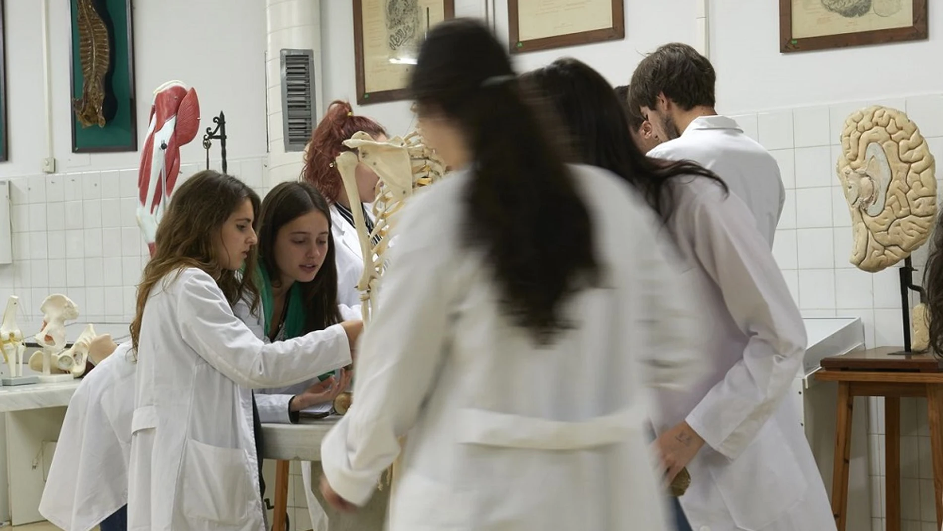 Estudiantes de medicina de la Universidad de Santiago.