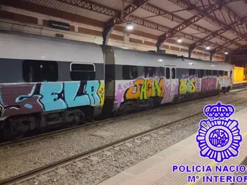 La Policía Nacional detuvo la noche de Halloween a 19 personas que, con caretas y disfrazadas, se dedicaron a hacer grafitis en vagones de tren de forma coordinada. La Policía Nacional detuvo la noche de Halloween a 19 personas que, con caretas y disfrazadas, se dedicaron a hacer grafitis en vagones de tren de forma coordinada.