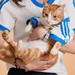Adidas Originals lanza colección para mascotas: estilo urbano para perros y gatos