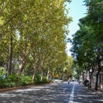 Ya hay fecha para el reasfaltado de Gran Vía Marqués del Turia en Valencia: conoce cuándo estará en obras