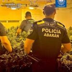 MURCIA.-Sucesos.- Desmantelan en Abarán (Murcia) un invernadero destinado al cultivo intensivo y continuo de marihuana
