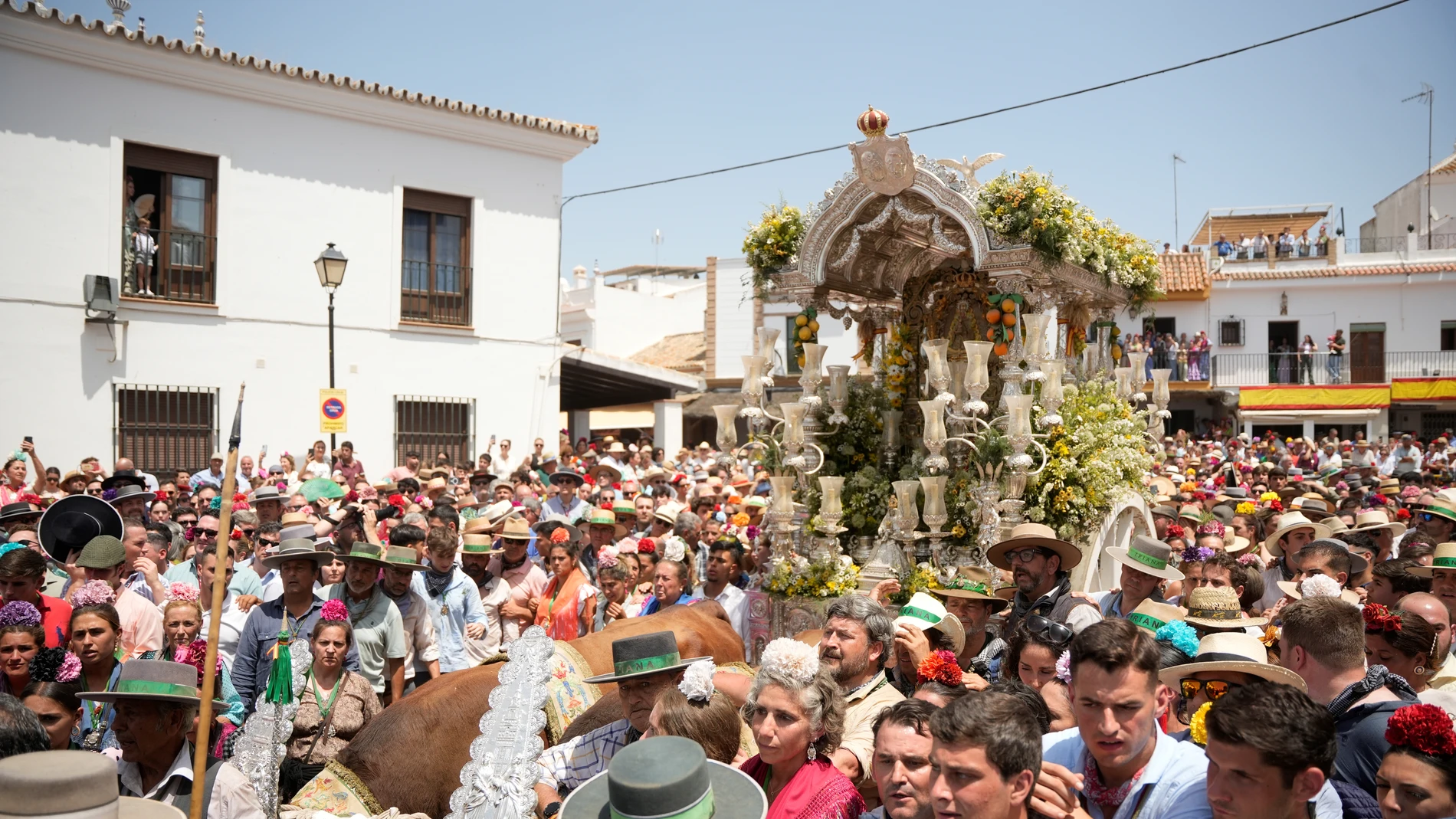 Simpecados de las hermandades del Rocío, junto a sus peregrinos, llegan al santuario de la Virgen en Almonte para la presentación de hermandades, a 7 de junio de 2025 en Almonte (Huelva, Andalucía).La presentación de hermandades del Rocío es uno de los actos más emblemáticos de la romería, y tiene lugar el sábado previo al Domingo de Pentecostés en la aldea del Rocío. Durante esta jornada, cada hermandad filial se acerca al santuario para rendir homenaje a la Virgen del Rocío y a la Hermanda...