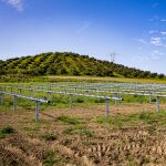 En el diseño del primer parque fotovoltaico de ChintSolar en España se ha tenido en cuenta su integración ambiental en la comarca sevillana del Aljarafe