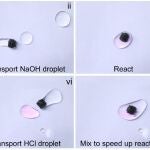 Un microrrobot magnético junta gotas de fluido, desencadenando una reacción química.