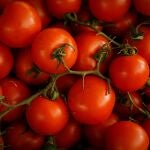 Tomates