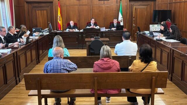 El juicio en la Audiencia de Sevilla