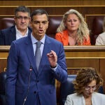 Sesión de control al Gobierno en el Congreso de los Diputados. Comparece el presidente del Gobierno, Pedro Sánchez.