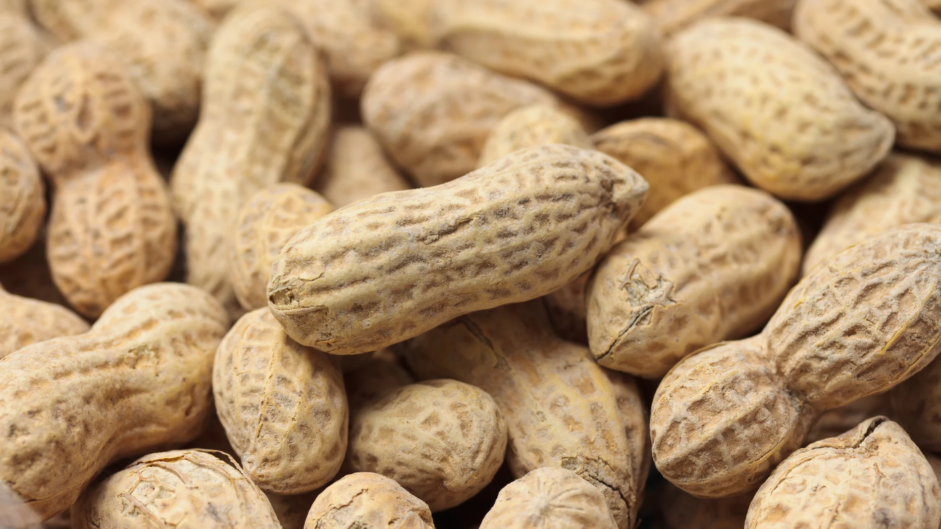 Cacahuetes salados con su cáscara