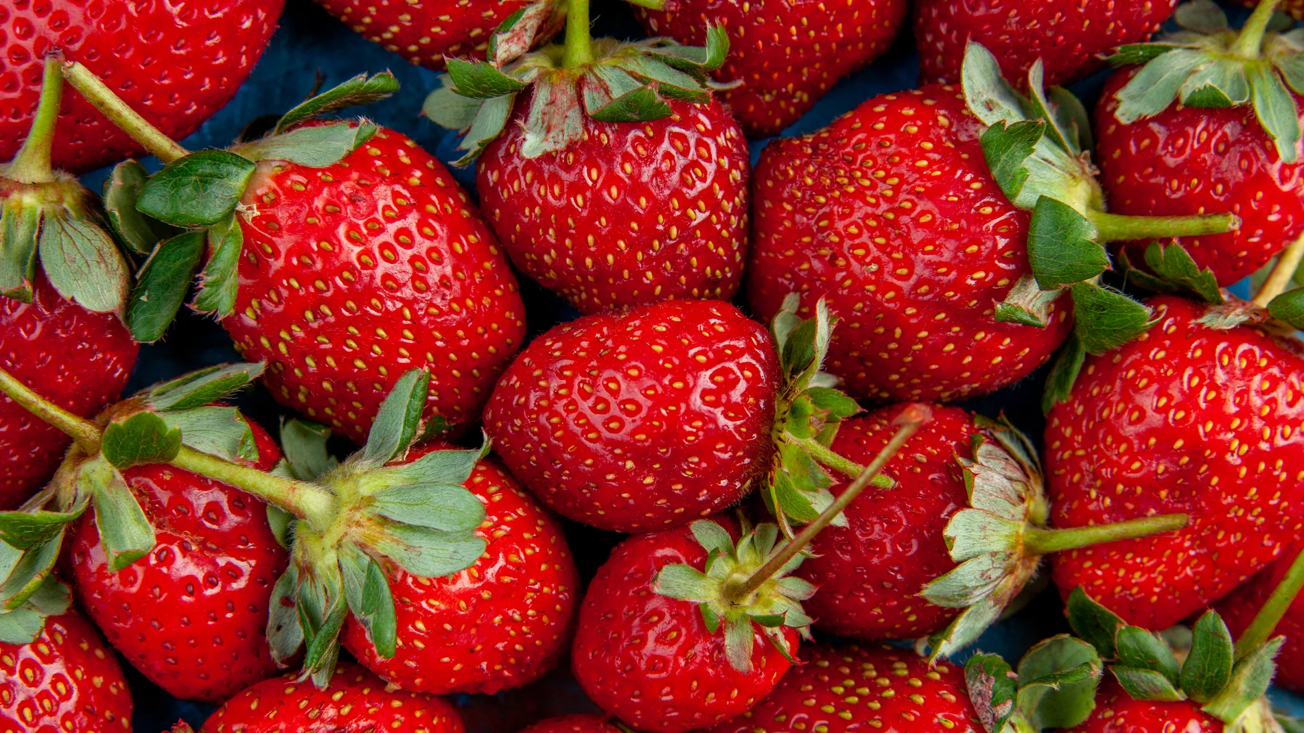 ¿Cómo saber si las fresas que comes son de España o de Marruecos?