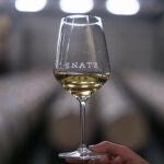 Una amplia gama de vinos 