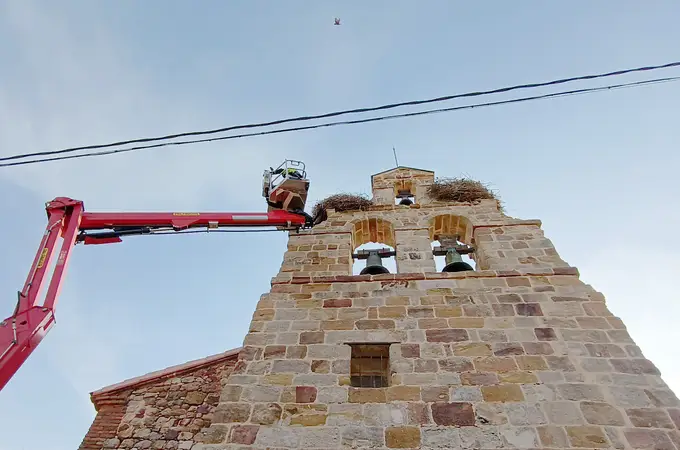 Espectacular rescate sin final feliz de una cigüeña atrapada en su nido en Entrala (Zamora) Espectacular rescate sin final feliz de una cigüeña atrapada en su nido en Entrala (Zamora)