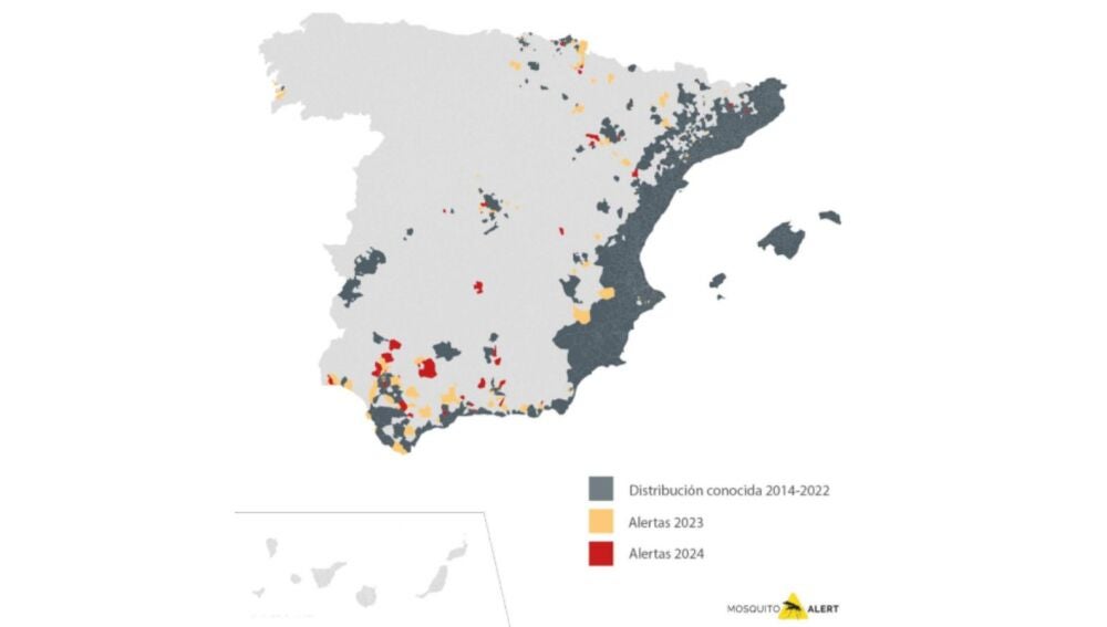 Alerta por la proliferación en España de mosquito tigre: Sanidad ...