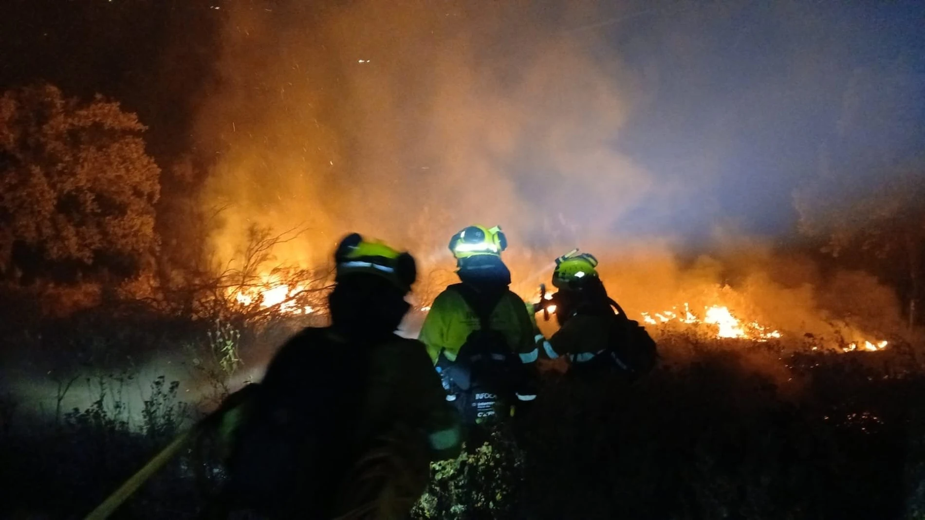 Tareas de lucha contra el incendio forestal en Montecorto
