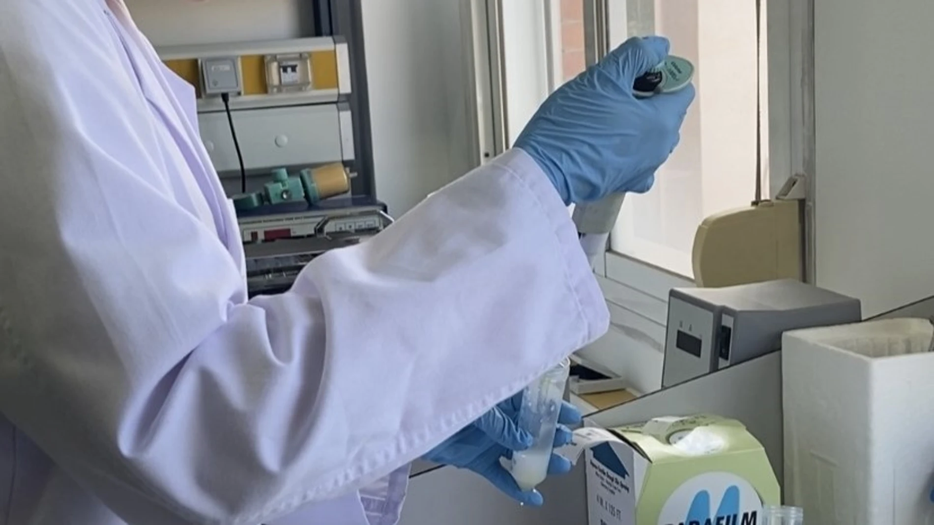Una investigación andaluza determina diferencias en la calidad nutritiva de las diferentes bebidas de soja.REMITIDA / HANDOUT por Junta de AndalucíaFotografía remitida a medios de comunicación exclusivamente para ilustrar la noticia a la que hace referencia la imagen, y citando la procedencia de la imagen en la firma12/07/2025