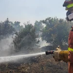 Incendios.- Bomberos controlan un incendio de vegetación en Catarroja (Valencia)