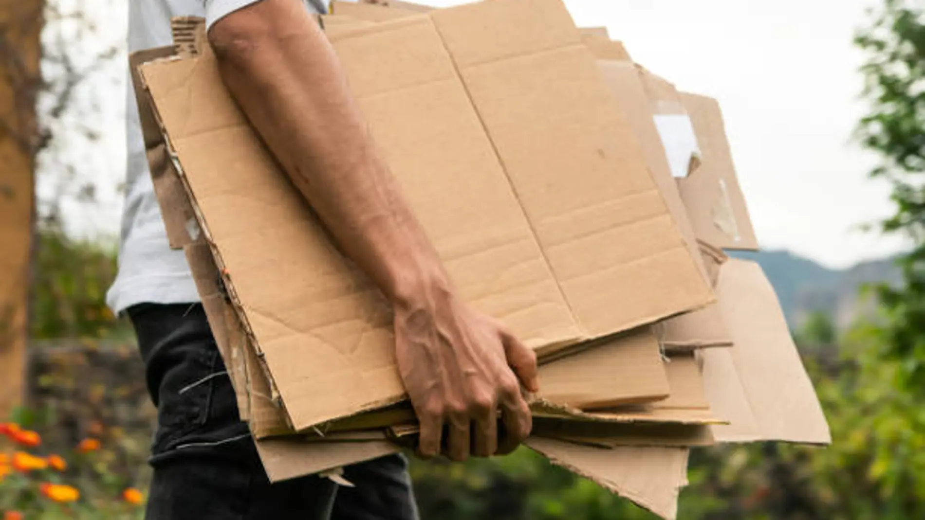 No tires las cajas vacías de cartón: el secreto de los jardineros inteligentes para deshacerse de las malas hierbas