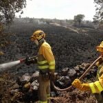Un incendio arrasa cultivos y árboles junto a Castillejo Martín Viejo (Salamanca)