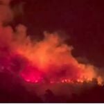 Incendios forestales en España, en directo: última hora en Ávila, Tenerife y Málaga