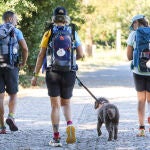 Imagen de peregrinos en el Camino de Santiago. 
