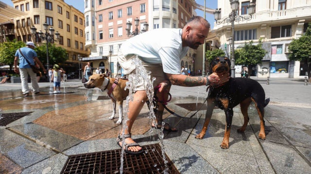 La ola de calor continúa azotando casi toda la península hasta al menos el domingo