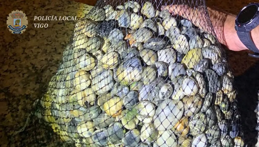 Pesca.- Interceptadas en Vigo cuatro mariscadoras furtivas con más de nueve kilos de almejas y berberechos