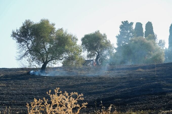 Incendio en el recinto del Conjunto Arqueológico de Itálica.