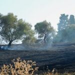 Incendio en el recinto del Conjunto Arqueológico de Itálica.