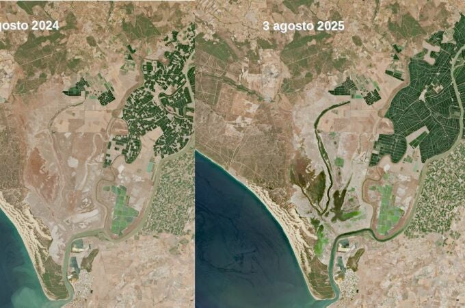 Desde 2018 no se observaban zonas de marisma en Doñana inundadas en estas fechas avanzadas del verano