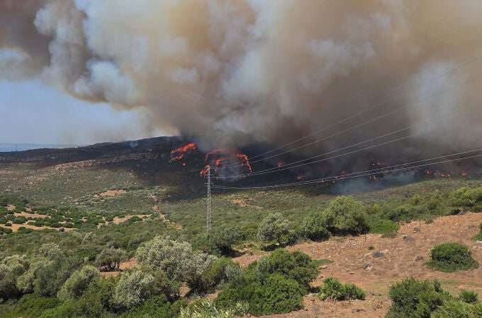 Las imágenes del fuego en Tarifa
