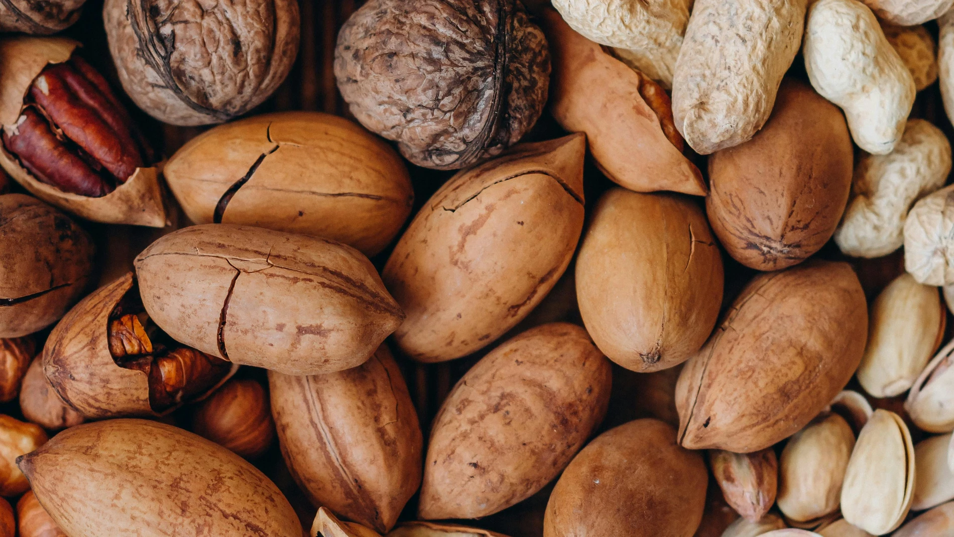 6 Fuentes de proteína vegetal que recomiendo: Beneficios para tu cuerpo y cerebro