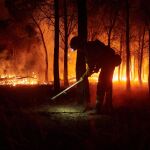 Incendios.- El fuego arrasa 39.155 hectáreas en España hasta el 3 de agosto, un 9% más que en 2024
